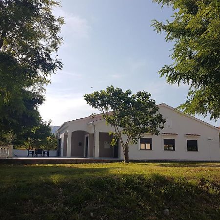 Apartments Andrea II Baška Εξωτερικό φωτογραφία